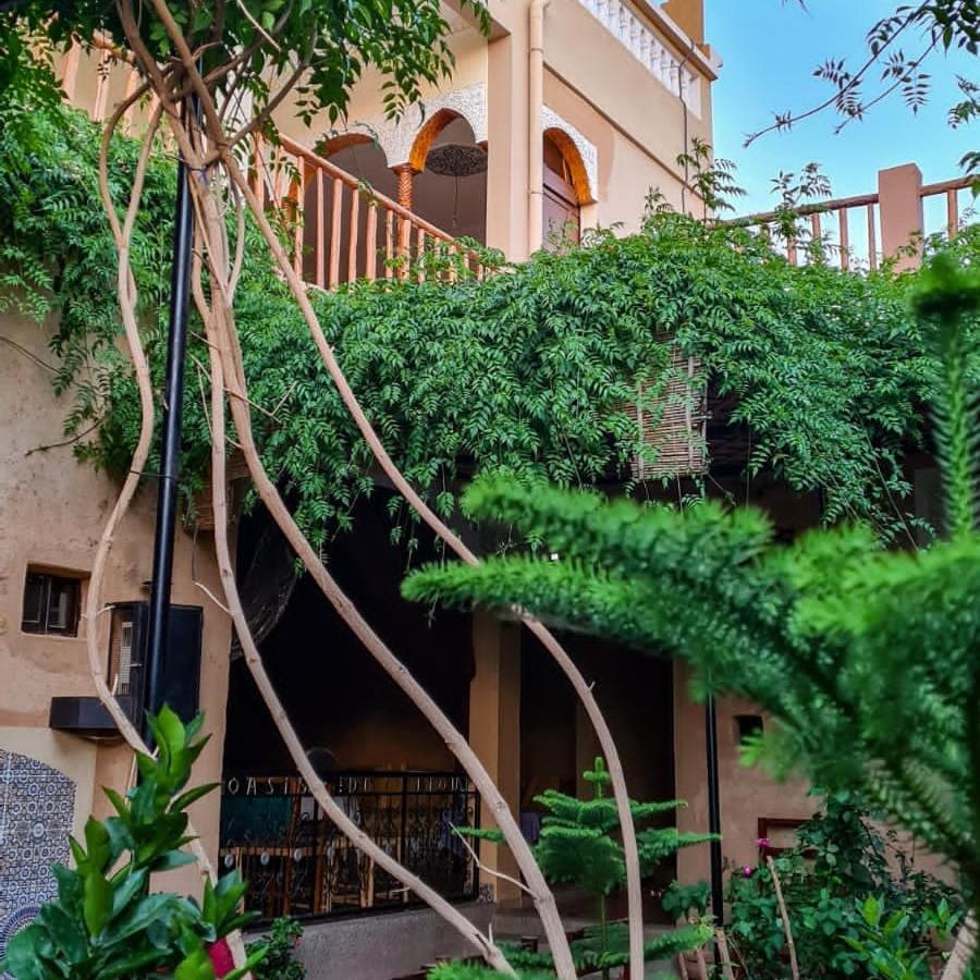 Oasis De Tiout Διαμέρισμα Εξωτερικό φωτογραφία