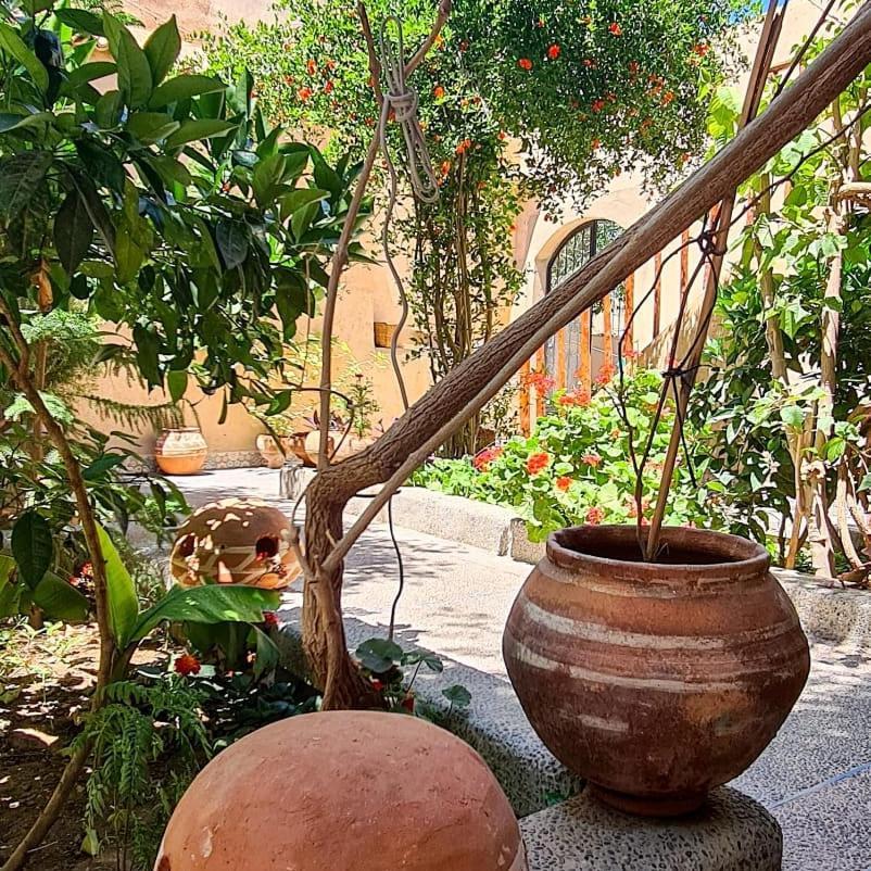 Oasis De Tiout Διαμέρισμα Εξωτερικό φωτογραφία