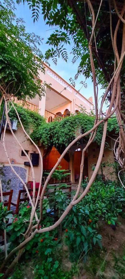Oasis De Tiout Διαμέρισμα Εξωτερικό φωτογραφία