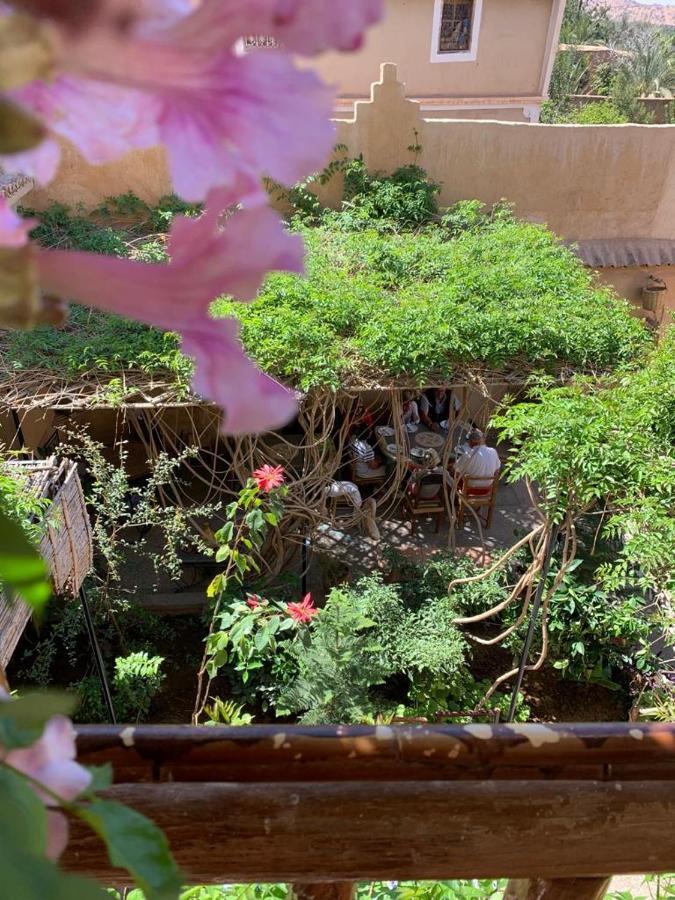 Oasis De Tiout Διαμέρισμα Εξωτερικό φωτογραφία