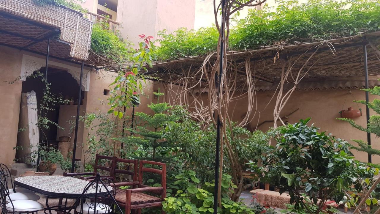 Oasis De Tiout Διαμέρισμα Δωμάτιο φωτογραφία