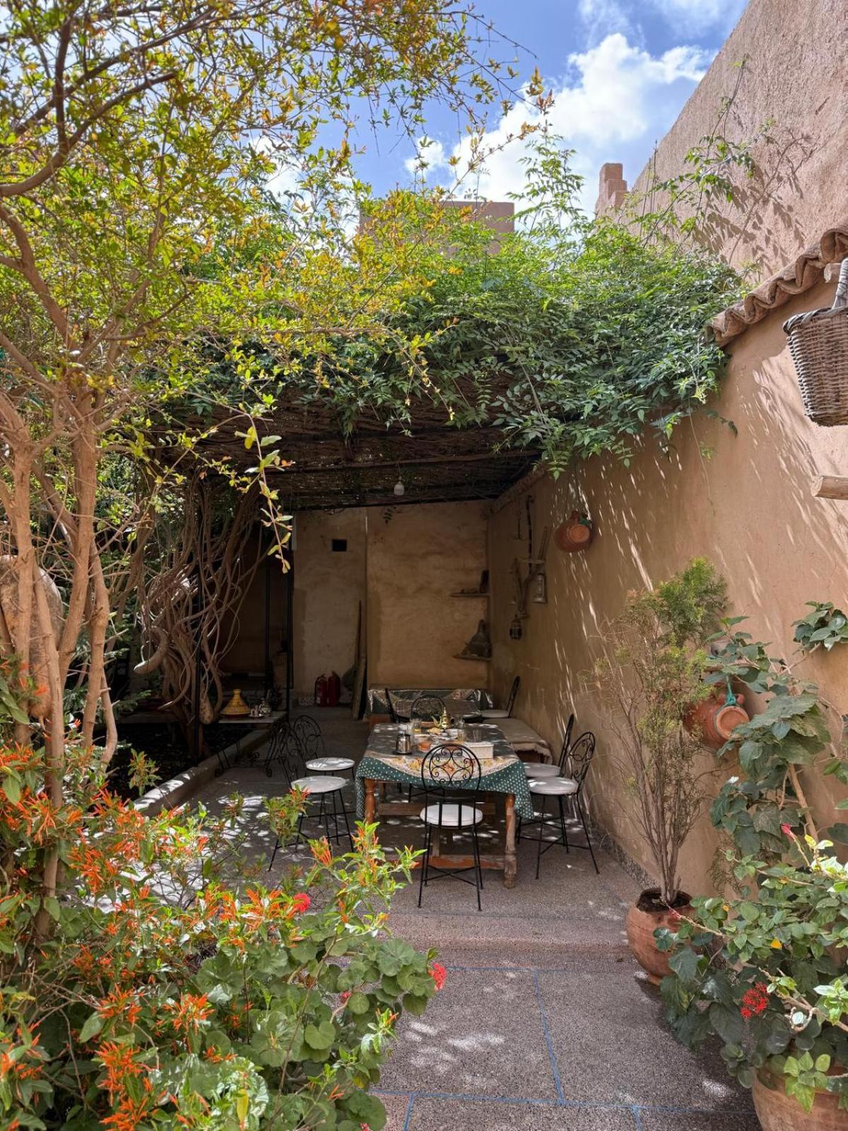 Oasis De Tiout Διαμέρισμα Εξωτερικό φωτογραφία