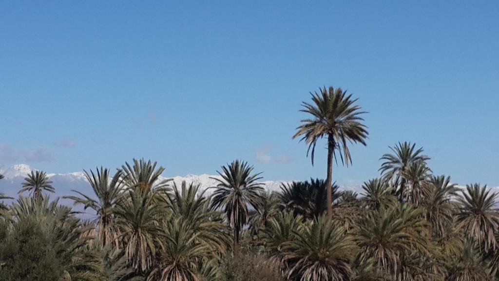 Oasis De Tiout Διαμέρισμα Εξωτερικό φωτογραφία