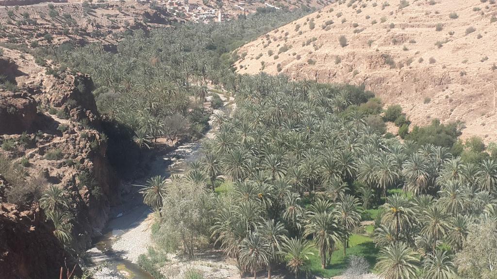 Oasis De Tiout Διαμέρισμα Εξωτερικό φωτογραφία