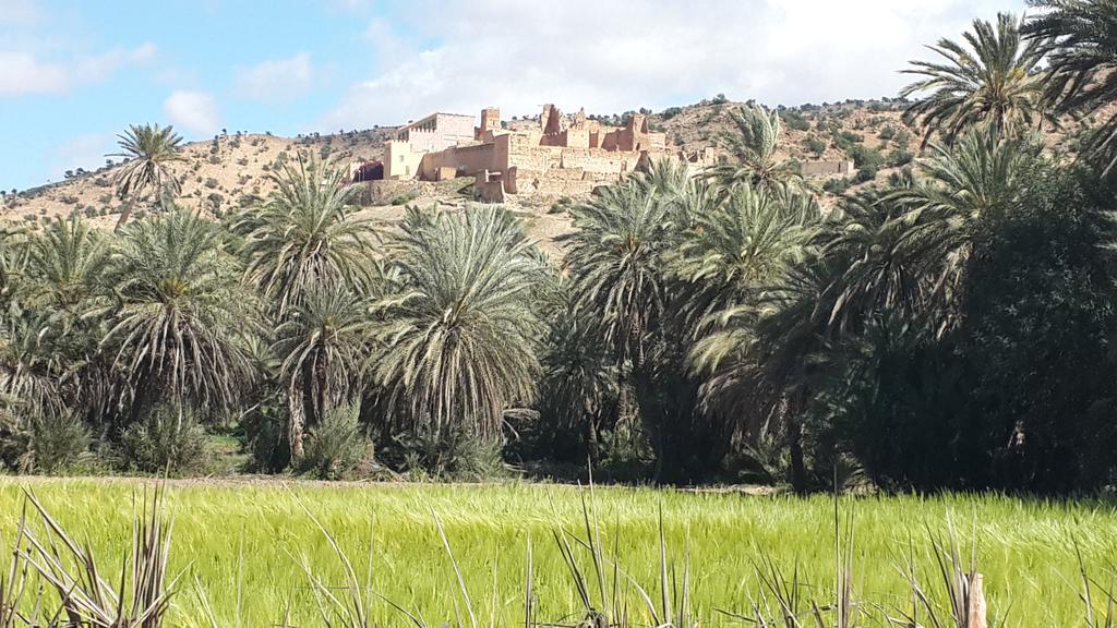 Oasis De Tiout Διαμέρισμα Εξωτερικό φωτογραφία